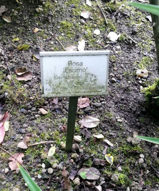  - 2019 Gradina botanica Freising