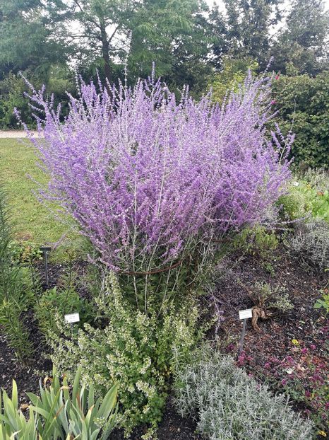  - 2019 Gradina botanica Freising