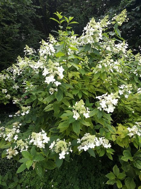  - 2019 Gradina botanica Freising