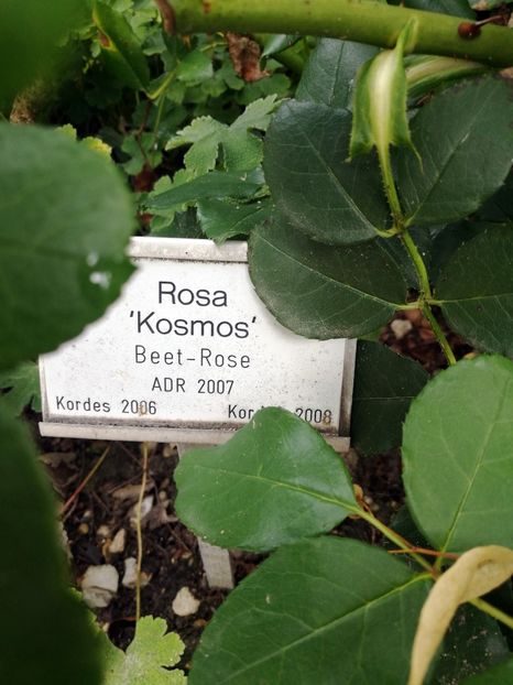  - 2019 Gradina botanica Freising