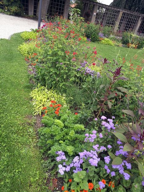  - 2019 Gradina botanica Freising