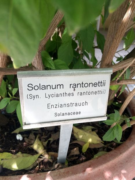  - 2019 Gradina botanica Freising