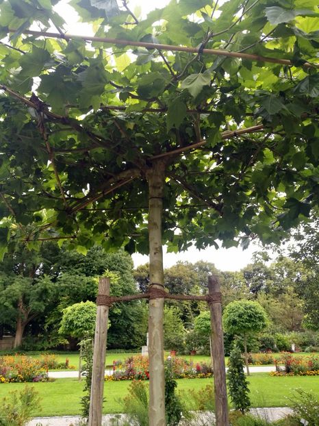  - 2019 Gradina botanica Augsburg