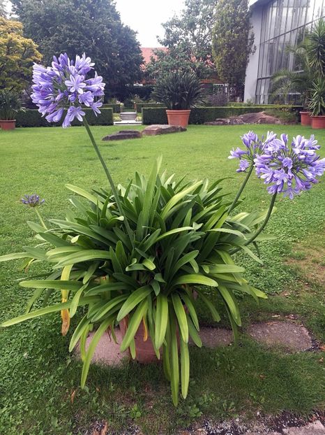  - 2019 Gradina botanica Augsburg