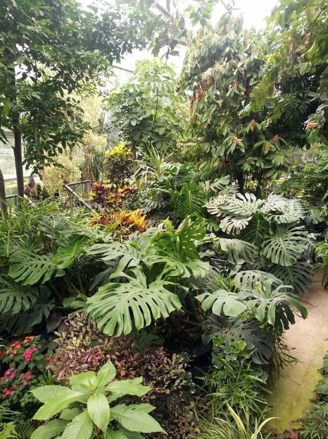  - 2019 Gradina botanica Augsburg