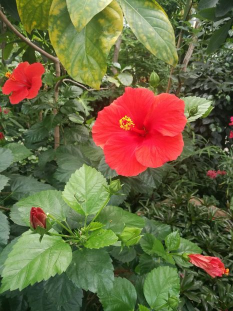  - 2019 Gradina botanica Augsburg