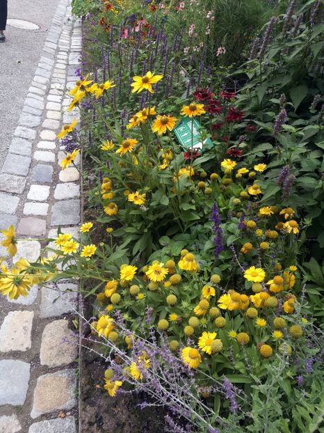  - 2019 Gradina botanica Augsburg