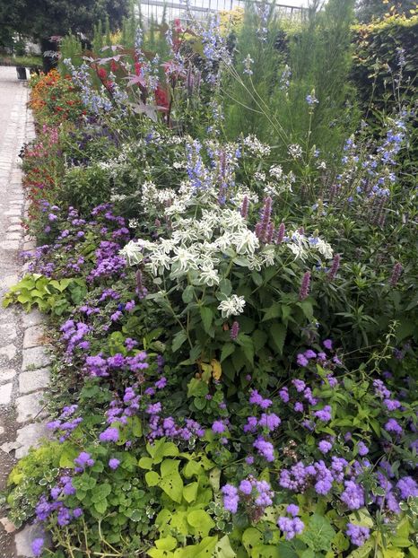  - 2019 Gradina botanica Augsburg