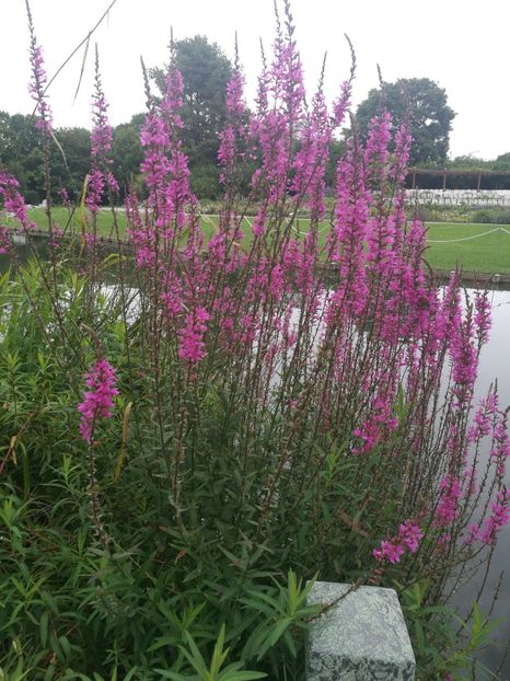  - 2019 Gradina botanica Augsburg