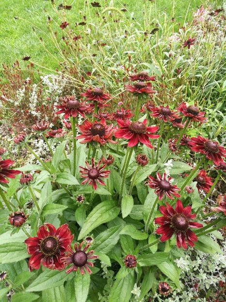  - 2019 Gradina botanica Augsburg