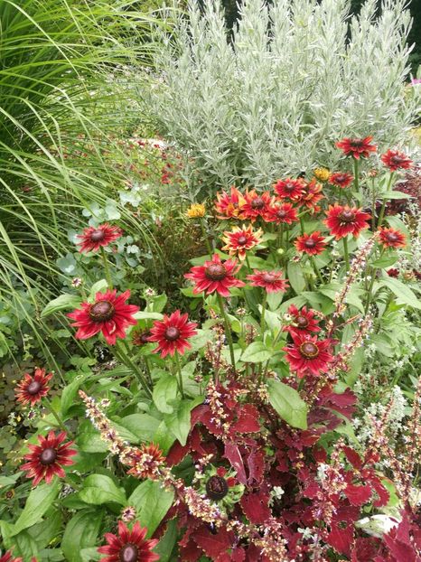  - 2019 Gradina botanica Augsburg