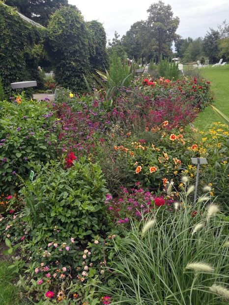  - 2019 Gradina botanica Augsburg