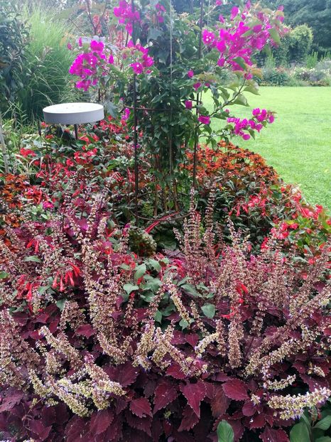 - 2019 Gradina botanica Augsburg