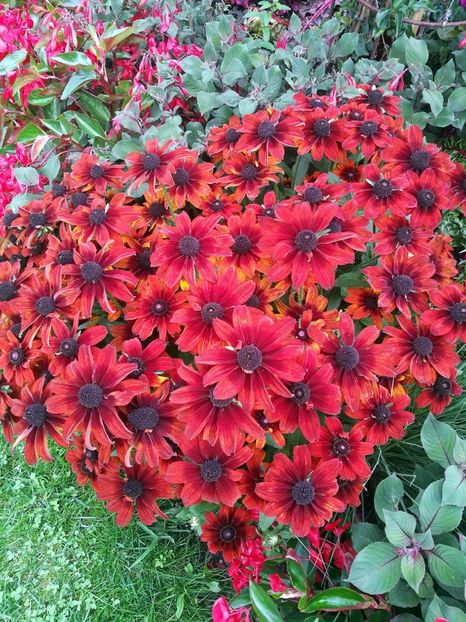  - 2019 Gradina botanica Augsburg