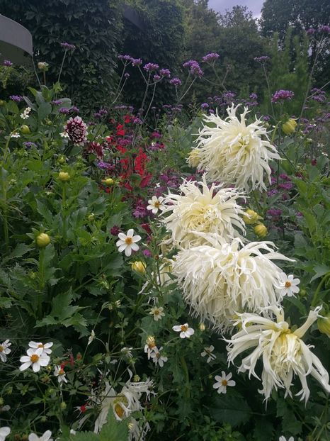  - 2019 Gradina botanica Augsburg
