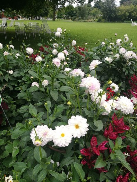  - 2019 Gradina botanica Augsburg