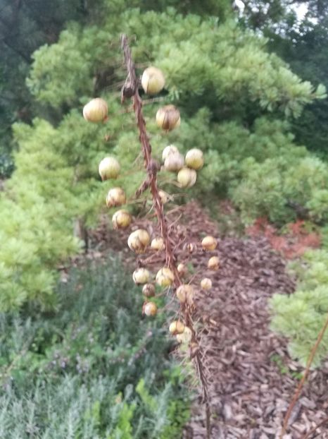  - 2019 Gradina botanica Augsburg