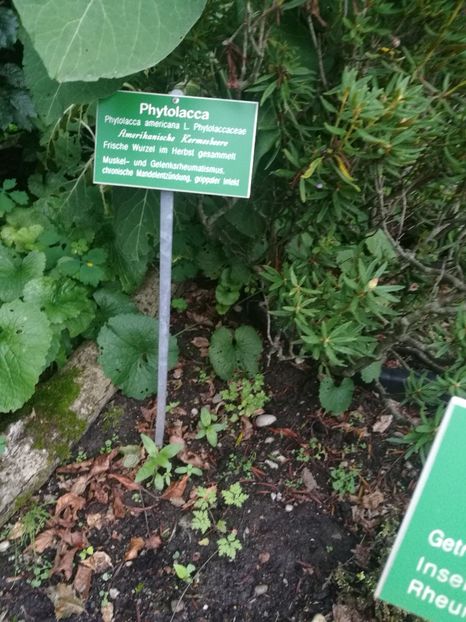  - 2019 Gradina botanica Augsburg
