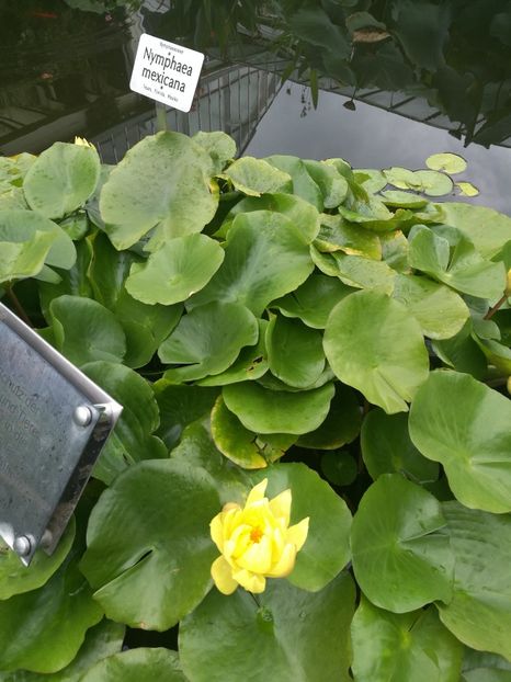  - 2019 Gradina botanica Erlangen