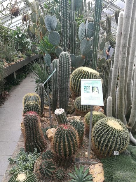  - 2019 Gradina botanica Erlangen