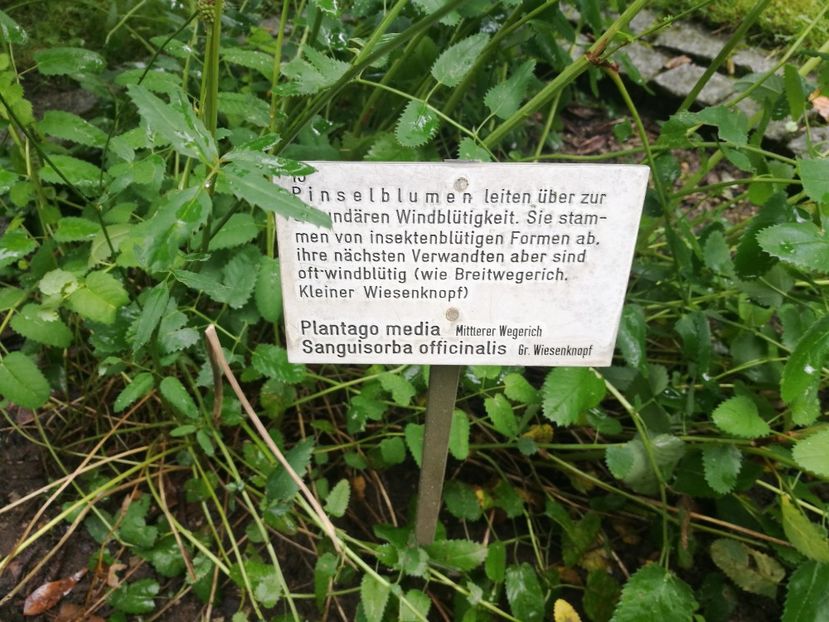  - 2019 Gradina botanica Erlangen