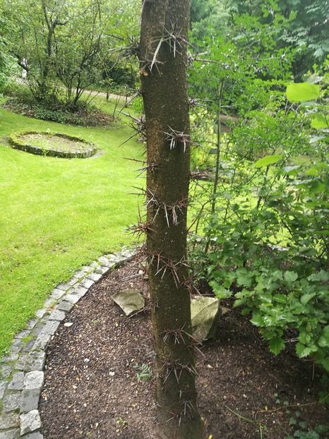  - 2019 Gradina botanica Erlangen