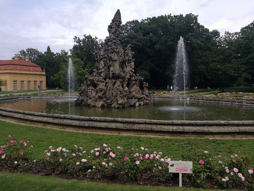  - 2019 Gradina de trandafiri Bamberg