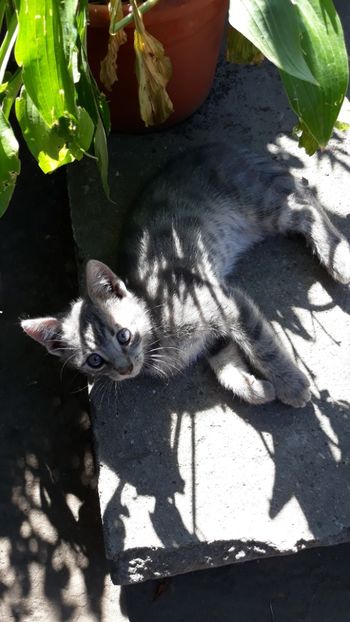  - Iubiri mici!