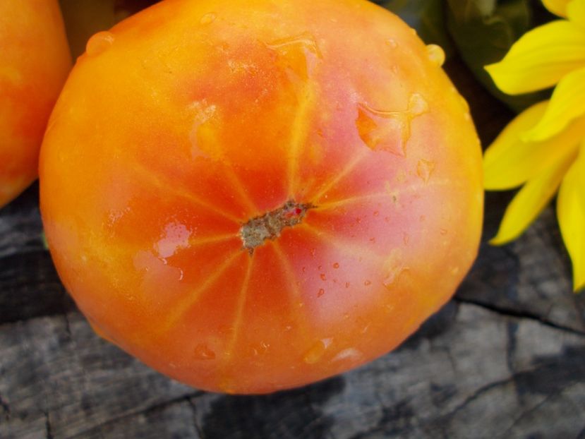  - SEMINTE ROSII - T 432 MARY ROBINSON GERMAN