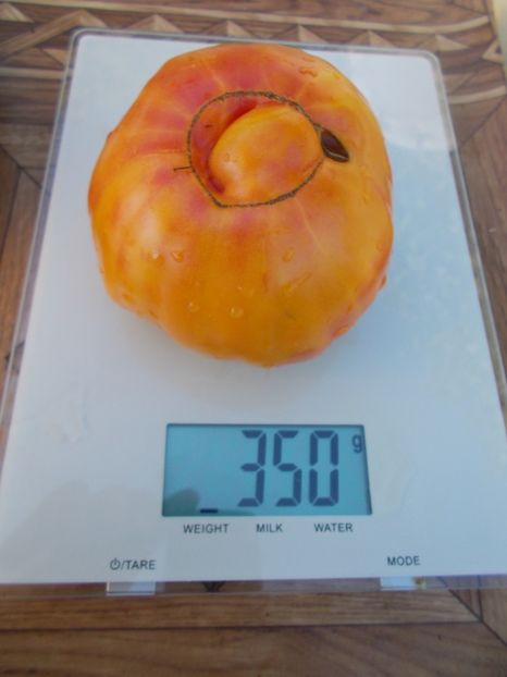  - SEMINTE ROSII - T 432 MARY ROBINSON GERMAN