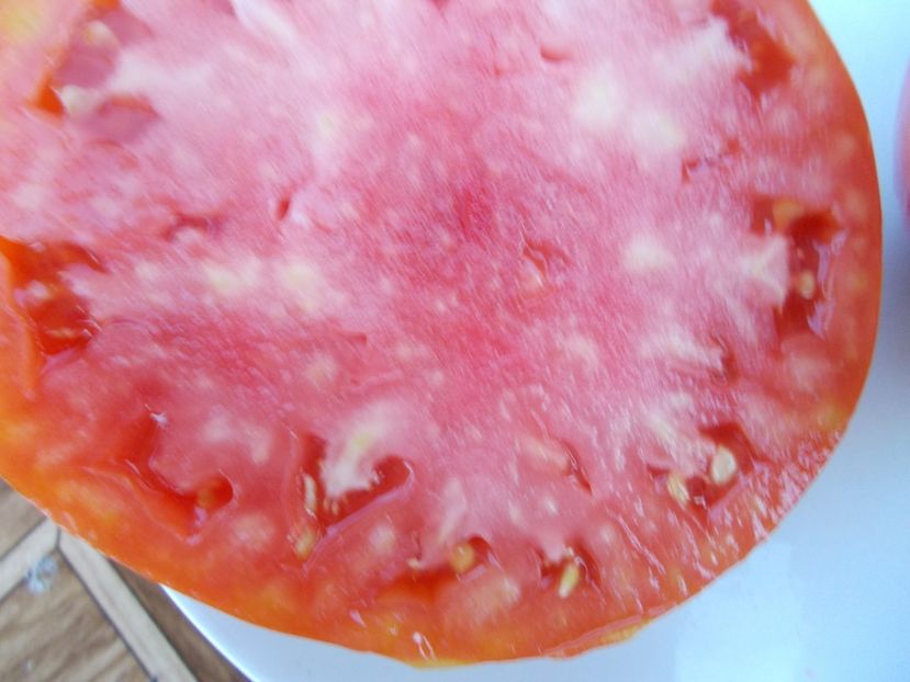  - SEMINTE ROSII - T 317 PROVENZANO