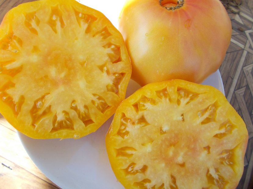  - SEMINTE ROSII - T 311 BURAKER S FAVORITE