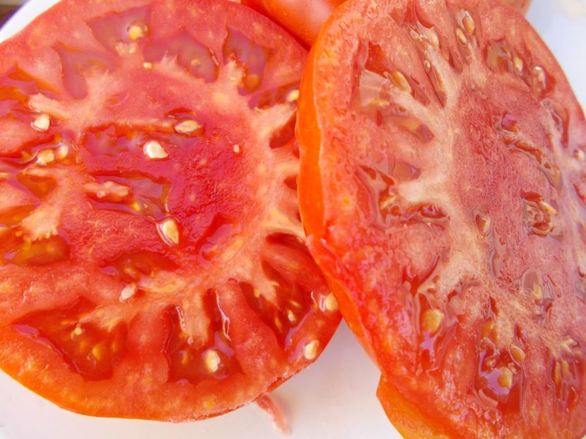  - SEMINTE ROSII - T 397 MINUSINSKIJ LEW