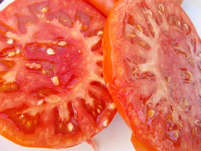  - SEMINTE ROSII - T 397 MINUSINSKIJ LEW