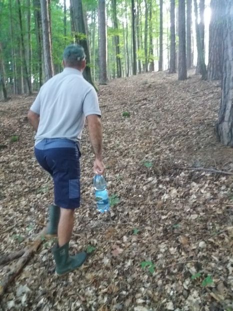  - Eu prin austria 2019 august