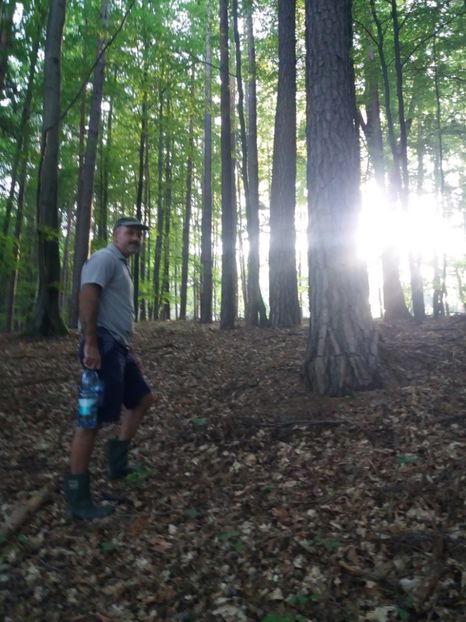  - Eu prin austria 2019 august