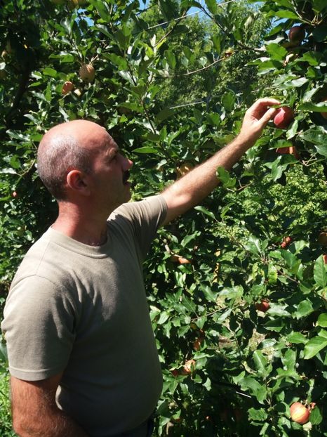  - Eu prin austria 2019 august