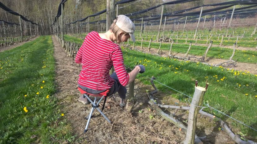  - Eu prin austria 2019 august