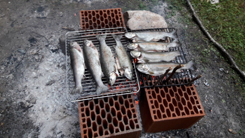 Captură din păstrăvăria locală. - Vacanța 2019 3