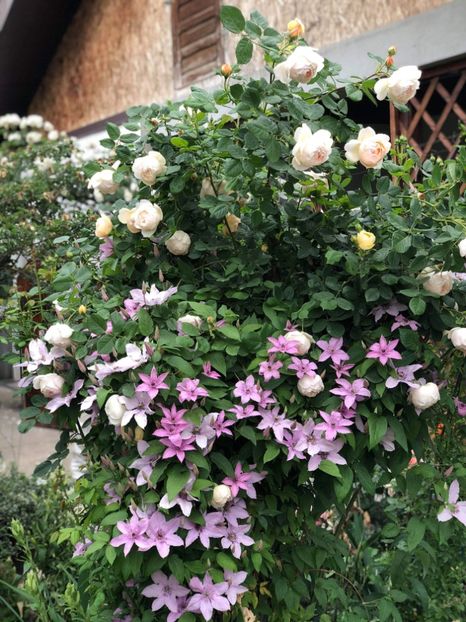 received_626242847893971 - 2019
