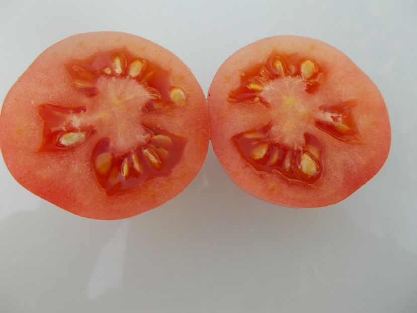  - SEMINTE ROSII - PINK PLUM