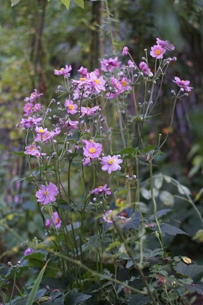  - August 2019- August 2020