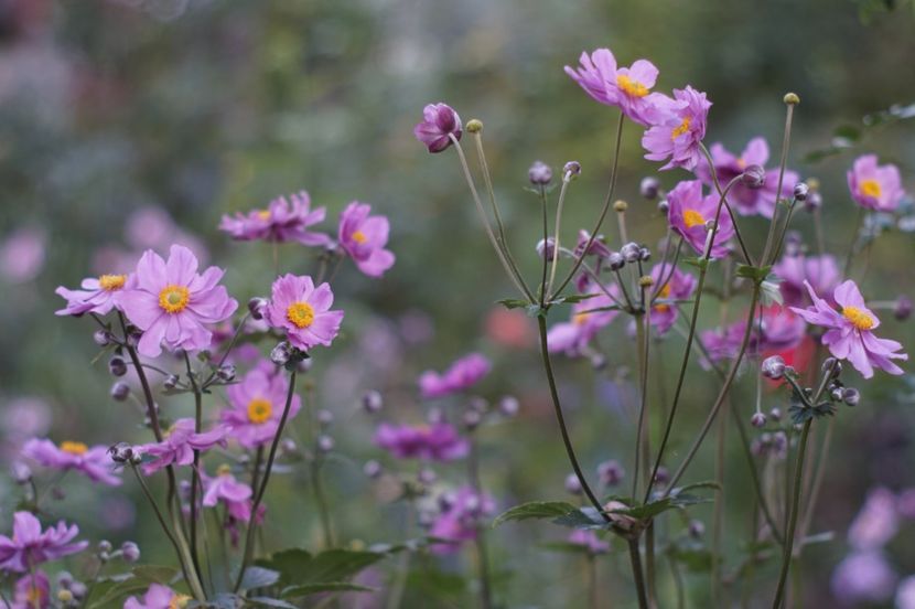  - August 2019- August 2020