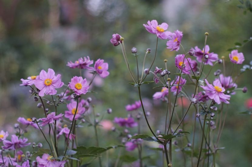  - August 2019- August 2020