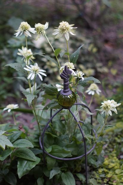  - August 2019- August 2020