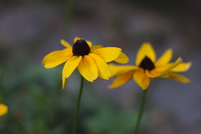  - August 2019- August 2020