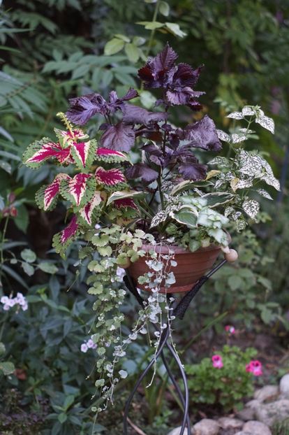  - August 2019- August 2020