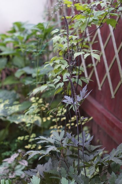  - August 2019- August 2020