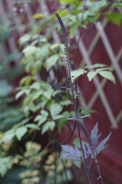  - August 2019- August 2020