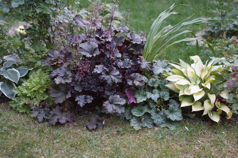  - August 2019- August 2020
